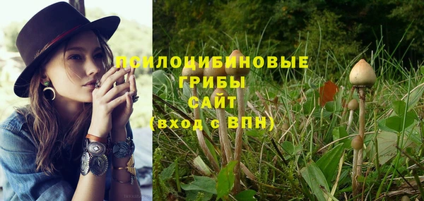 индика Майский