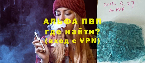 индика Майский