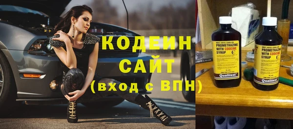 индика Майский