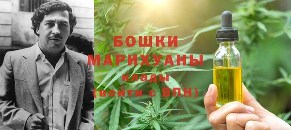 индика Майский