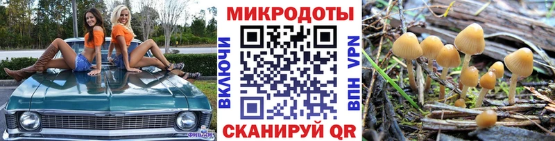 Купить  Ишимбай  Псилоцибиновые грибы Psilocybine cubensis 